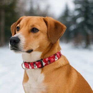 Christmas Dog Collar Medium, Handmade Cotton Snowman Collar, Adjustable 13–20”